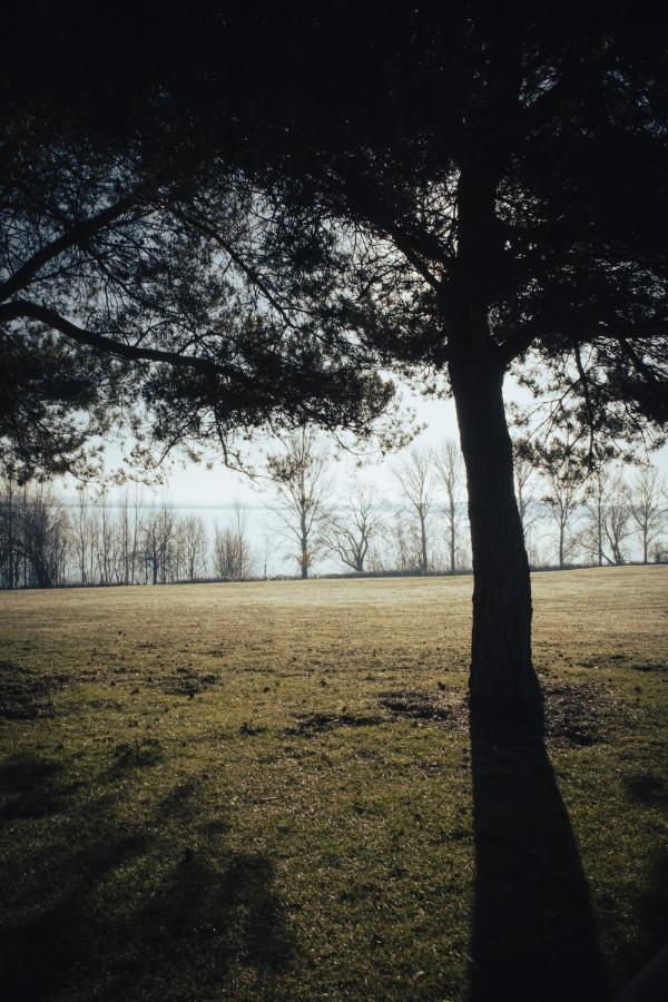 Draycote Hotel And Whitefields Golf Course Ръгби Екстериор снимка